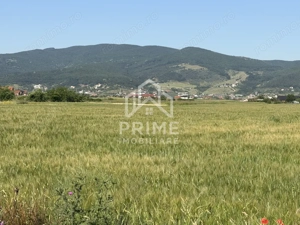 Teren Extravilan | 11.100 MP | 32M Deschidere| Orizont-Bărăbanț | OPORTUNITATE | - imagine 4