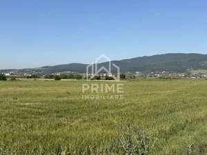 Teren Extravilan | 11.100 MP | 32M Deschidere| Orizont-Bărăbanț | OPORTUNITATE | - imagine 5