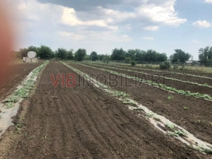 Fermă de vânzare | 3 ha | Între București și Constanța | Exploatație agricolă și zootehnică