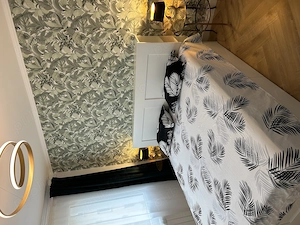 Garsoniere și apartamente - imagine 3
