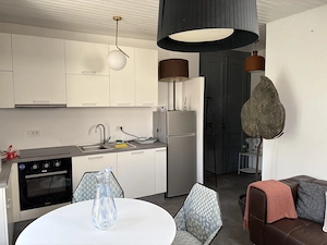 De inchiriat apartament la mansarda pentru locuit, Balcescu, cladire istorica reabilitata, lux - imagine 5
