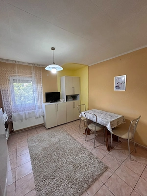 2 cam centrala proprie bloc izolat zona Simion Barnutiu - imagine 10