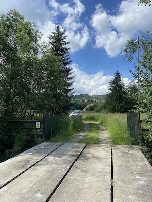 Teren de vis 10.000 mp intravilan în Neagra Șarului, la doar 15 km de Vatra Dornei   - imagine 10