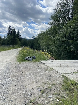 Teren de vis 10.000 mp intravilan în Neagra Șarului, la doar 15 km de Vatra Dornei   - imagine 8