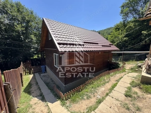 Casa din lemn, zona muntoasa, cu rau, la cheie, Ribita, Hunedoara - imagine 15