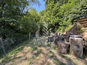 Casa din lemn, zona muntoasa, cu rau, la cheie, Ribita, Hunedoara - imagine 19