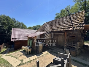 Casa din lemn, zona muntoasa, cu rau, la cheie, Ribita, Hunedoara - imagine 16