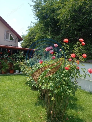 CASA COCHETA CU TEREN GENEROS - CATARGIU
