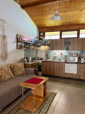 Casa de vanzare, sat Terchesti, com.Popesti, Vrancea - imagine 7