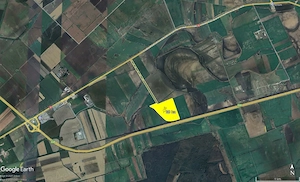 teren arabil compact Pecica - 20 HA  -