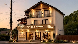 Inchiriez paturi pentru muncitori nepalezi, asiatici....cu utilitati incluse, 35 ron zi, tva inclus - imagine 8
