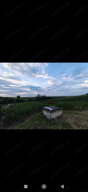 Vând teren intravilan Bosanci, jud. Suceava, Suprafață 26 ari, 3500E ar - imagine 5