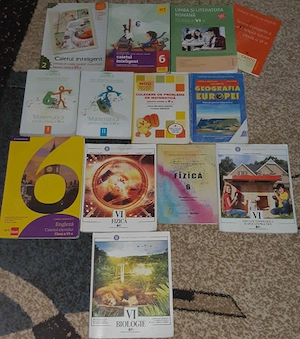 Manuale Culegeri clasa a VI-a