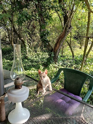 casa si teten exclusiv vacanta