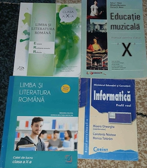 Manuale Culegeri - Clasa a X-a