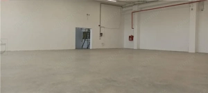 Hala industriala productie sau depozit cu rampa - Freidorf - imagine 4