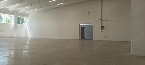 Hala industriala productie sau depozit cu rampa - Freidorf - imagine 3