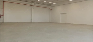Hala industriala productie sau depozit cu rampa - Freidorf - imagine 5