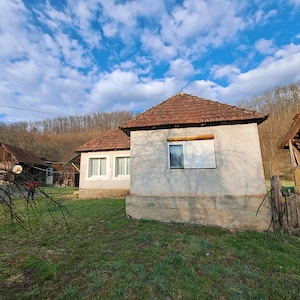  Casă de vânzare   Petriș, județul Arad   aproape de Deva - imagine 3
