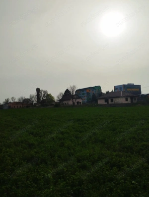 Complex lângă București cu 9 case pe 30.000 mp teren