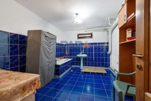Vilă impresionantă în zonă deosebită - imagine 15