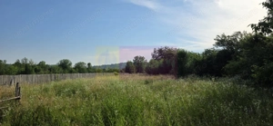 Teren 3026 de vanzare in Brebu