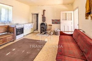 Casă 76mp cu teren de 3.463mp, sat. Vale, com. Aluniș - imagine 11
