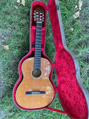 chitara clasica de concert Aria AC-7