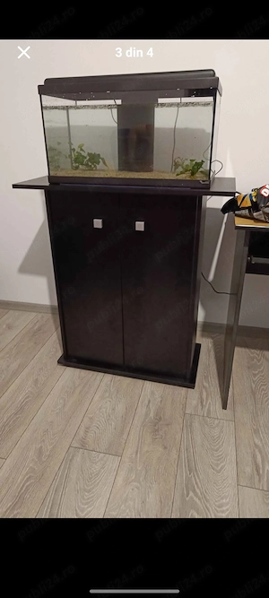 Mobilier acvariu - imagine 2