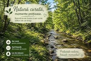 Teren intravilan de vânzare, comuna Rugetu, judet Vâlcea | râu , pădure, utilități și acces asfaltat - imagine 5