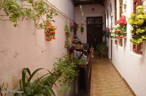 Curtea de Arges - Ultracentral - Casa autentica 180 mp, Teren 1336 mp - imagine 6