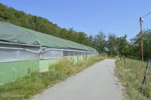 Bogati - Glimbocel, Ferma Zootehnica, Cladiri 1996 mp, Teren 4.89 ha - imagine 2