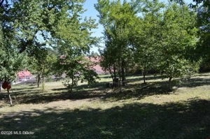 Curtea de Arges - Ultracentral - Casa autentica 180 mp, Teren 1336 mp - imagine 15