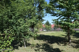 Curtea de Arges - Ultracentral - Casa autentica 180 mp, Teren 1336 mp - imagine 17