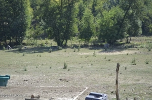 Bogati - Glimbocel, Ferma Zootehnica, Cladiri 1996 mp, Teren 4.89 ha - imagine 17