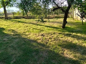 De vânzare Casă cu etaj.