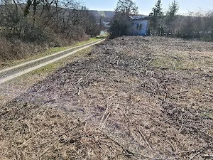 teren intravilan viile satu mare front 16m zona linistita peisaj frumos