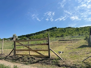 teren de vanzare  - imagine 6