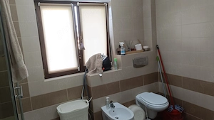 Apartament   Bulevardul Dem Radulescu   Etaj 2   - imagine 10