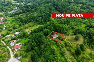  Proprietate de poveste în Corbi, Argeș - Doua case si 6300 mp teren intravilan