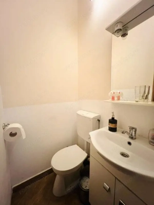 Casa individuala 5 camere - Zona Cetatii Timișoara  - imagine 12