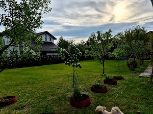 Casă de vânzare UAT Păulești, sat Gageni. - imagine 4