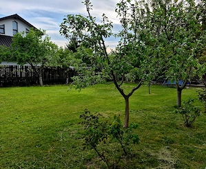Casă de vânzare UAT Păulești, sat Gageni. - imagine 3