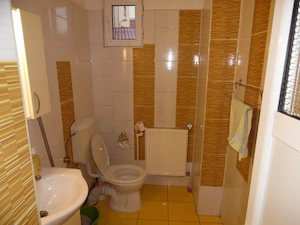 Inchiriez spatiu comercial in Deva, zona ultracentrala (I. Maniu, la 200 metri de Primarie), - imagine 12