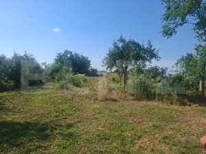 Casa individuala, 100 mp, teren 5000 mp, zona Mogosani  - imagine 5