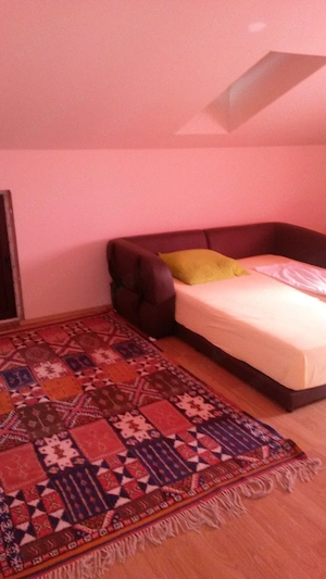 Casa Frumusani 5 camere teren 700mp - imagine 10