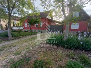 Casa individuala la sat, 5 camere, in Voiteg, judetul Timis - imagine 15