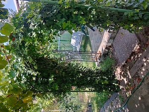 Apartament 4 camere Elisabetin curte comuna - imagine 2