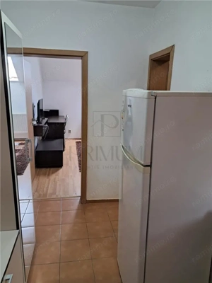 Apartament 1 camera-Centrala-Ac-Buziasului
