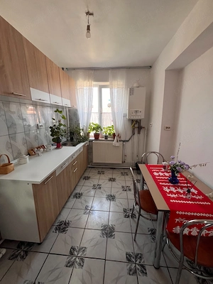 De Vanzare Apartament 2 Camere Caransebes - imagine 3